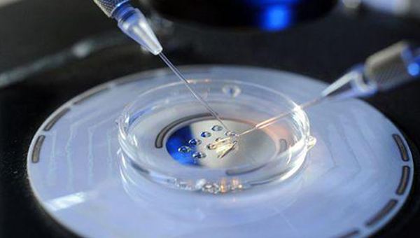 母婴保健服务中的徐州月子中心